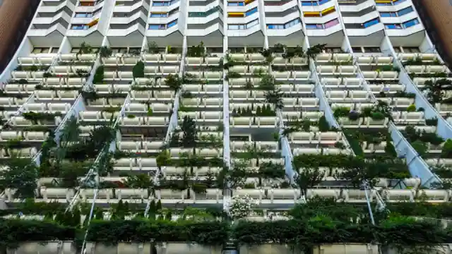 Jardín Vertical para Balcón: Qué Sistema Elegir Según tu Caso