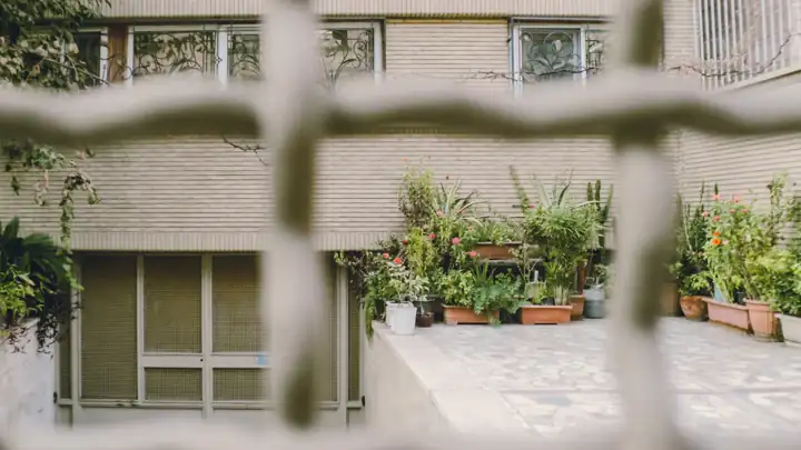 Guía de Riego Automático para Balcón y Terraza: Qué Sistema Elegir