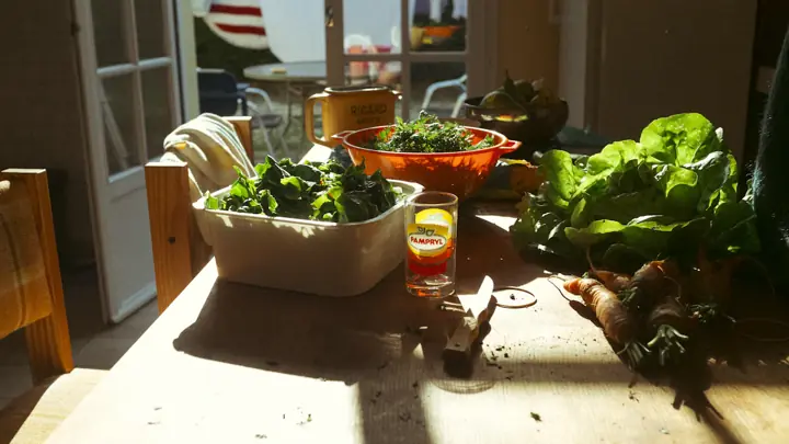 Qué es un Jardín Inteligente y Cuál Elegir para tu Cocina o Salón [2026]