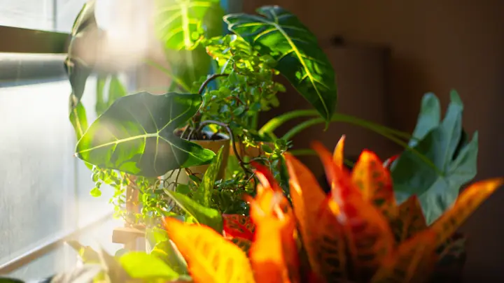 Mejores Armarios de Cultivo Interior (2026): Grow Tents para Casa